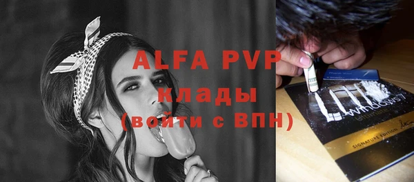 твердый Няндома