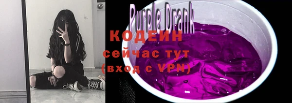 твердый Няндома