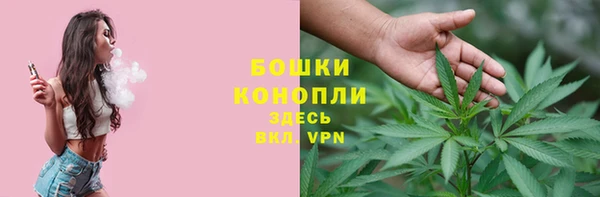 твердый Няндома