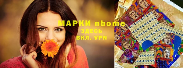 твердый Няндома