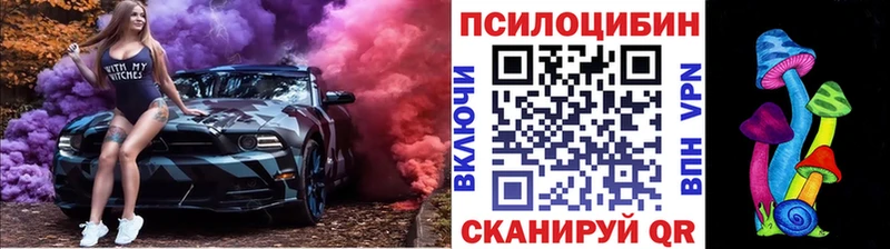 Псилоцибиновые грибы Psilocybine cubensis наркотики Чекалин